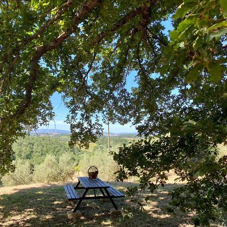 La Casina Della Quercia, Your Tuscan Oak Tree House Osteria Delle Noci Zewnętrze zdjęcie