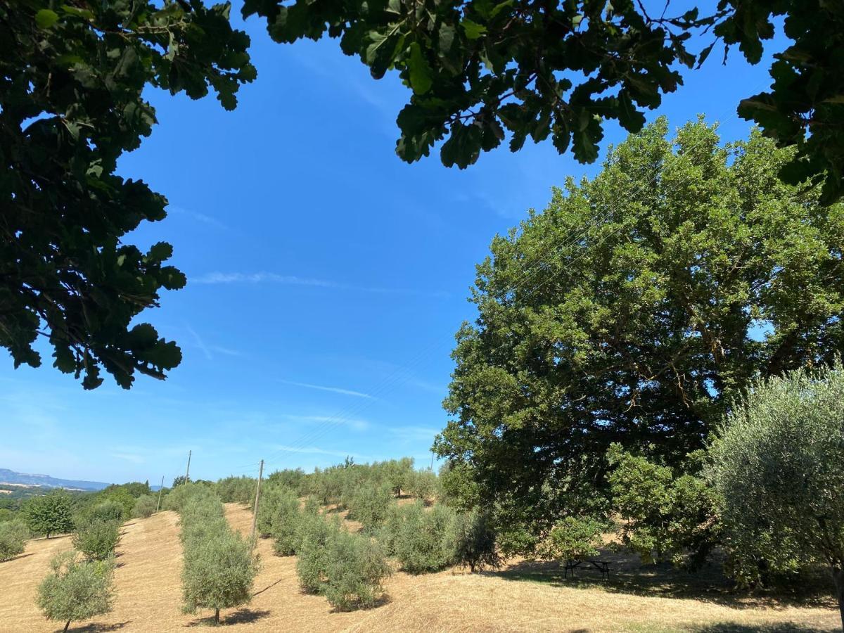 La Casina Della Quercia, Your Tuscan Oak Tree House Osteria Delle Noci Zewnętrze zdjęcie