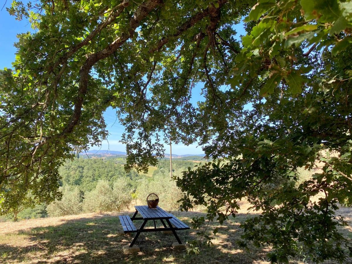 La Casina Della Quercia, Your Tuscan Oak Tree House Osteria Delle Noci Zewnętrze zdjęcie