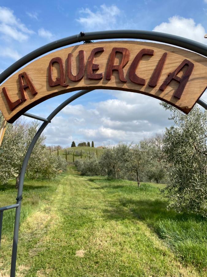 La Casina Della Quercia, Your Tuscan Oak Tree House Osteria Delle Noci Zewnętrze zdjęcie